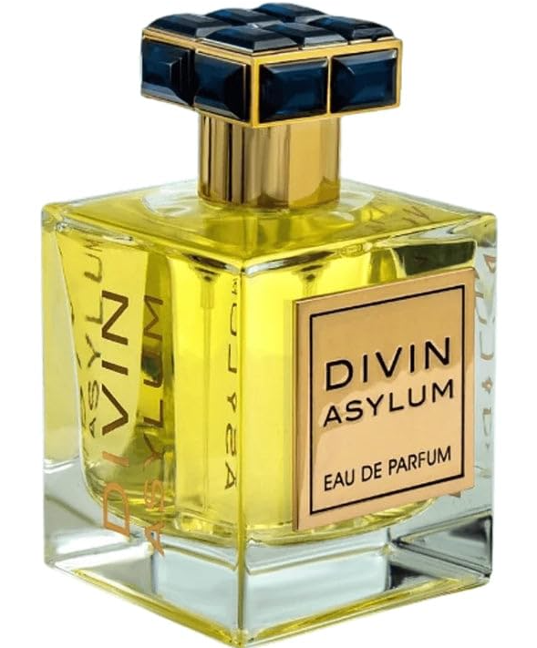 Divin Asylum by Fragrance World Samples - NorCalScents