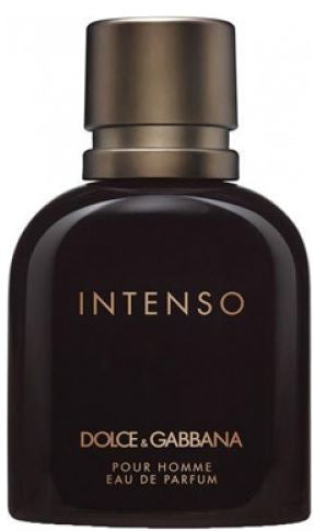 Intenso Pour Homme by Dolce & Gabbana - NorCalScents