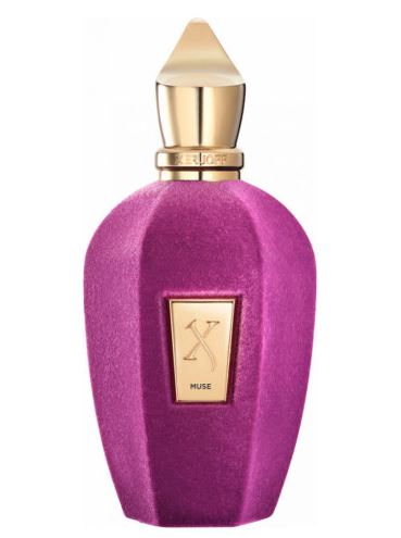 Muse by Xerjoff - NorCalScents
